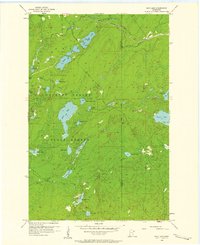 King Lake 1956 topographic map thumbnail