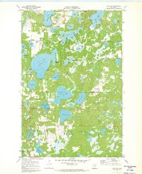 Lake Ada 1971 topographic map thumbnail