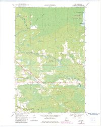 Ray 1969 topographic map preview