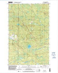 Ray SE 1999 topographic map thumbnail