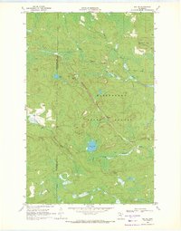 Ray SE 1969 topographic map thumbnail