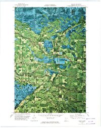 Saum NE 1972 topographic map thumbnail