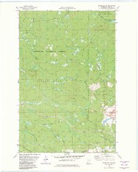 Silver Bay SW 1982 topographic map thumbnail