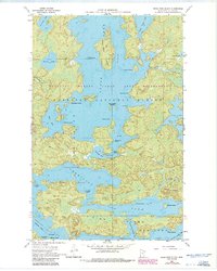 Sioux Pine Island 1956 topographic map thumbnail