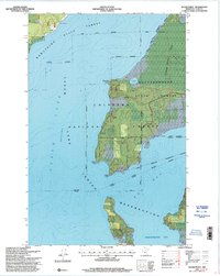 Sugar Point 1996 topographic map thumbnail