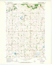Tenmile Lake 1965 topographic map thumbnail