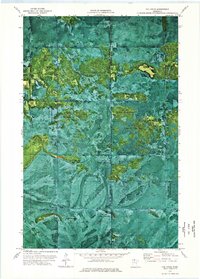The Pines 1973 topographic map thumbnail