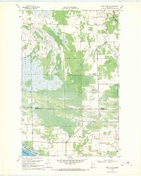 Thief Lake SE 1968 topographic map thumbnail
