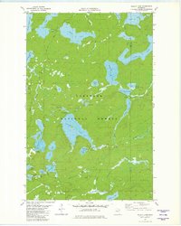 Wilson Lake 1981 topographic map thumbnail