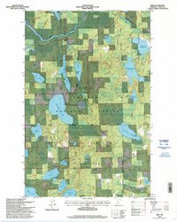 Wirt 1996 topographic map thumbnail