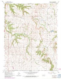 Bush City 1966 topographic map thumbnail