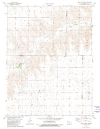 Dewey Ranch SW 1981 topographic map thumbnail
