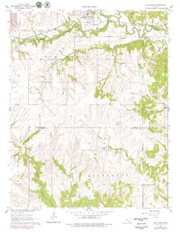 Elk Falls 1962 topographic map preview