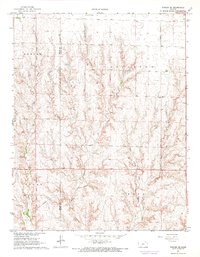 Fowler SE 1967 topographic map thumbnail