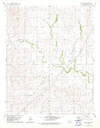 Mount Jesus 1979 topographic map thumbnail