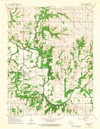 Rantoul 1963 topographic map preview
