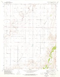 Shore Airport SE 1974 topographic map thumbnail