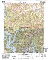 Reeds Spring 1999 topographic map thumbnail