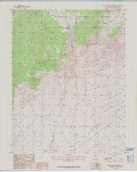 Quinn Canyon Springs 1985 topographic map thumbnail