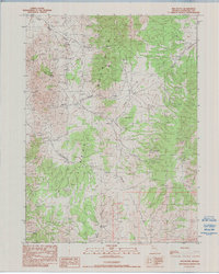 Red Butte 1990 topographic map thumbnail