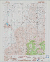 Rhyolite Ridge SW 1987 topographic map preview