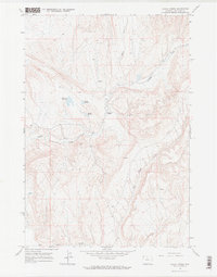 Alkali Creek 1966 topographic map thumbnail