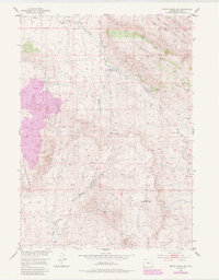 Ervay Basin SW 1984 topographic map thumbnail