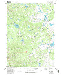 Raid Lake 1981 topographic map preview