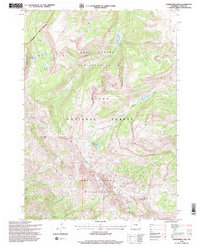 Turquoise Lake 1996 topographic map thumbnail