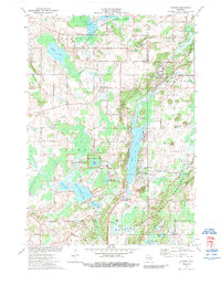 Dundee 1974 topographic map thumbnail