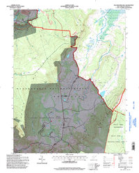 Blackwater Falls 1995 topographic map thumbnail