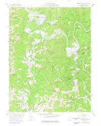 Burning Springs 1957 topographic map thumbnail