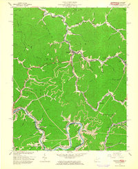 Delbarton 1963 topographic map thumbnail