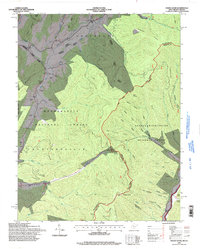 Paddy Knob 1995 topographic map thumbnail