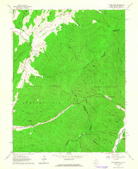 Paddy Knob 1961 topographic map thumbnail