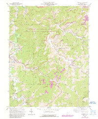 Roanoke 1966 topographic map thumbnail