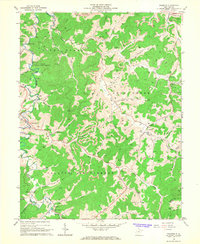 Roanoke 1966 topographic map thumbnail