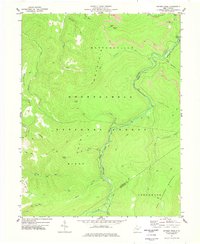 Snyder Knob 1977 topographic map thumbnail
