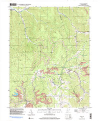 Tioga 1997 topographic map thumbnail