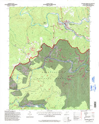Webster Springs 1995 topographic map thumbnail