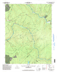 Webster Springs SW 1995 topographic map thumbnail