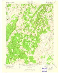 Williamsburg 1972 topographic map thumbnail
