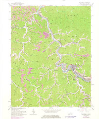 Williamson 1964 topographic map thumbnail