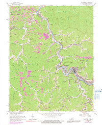 Williamson 1964 topographic map thumbnail