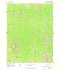Williams Mountain 1965 topographic map thumbnail