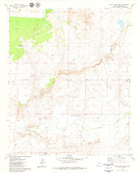 Cedar Lake Wash 1979 topographic map thumbnail