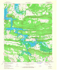 Adamson 1967 topographic map preview