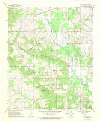 Boggy Depot 1969 topographic map thumbnail