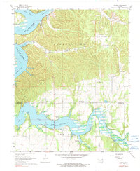 Cayuga 1964 topographic map preview