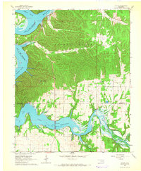 Cayuga 1964 topographic map thumbnail